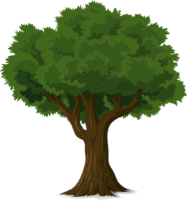 tree-g4a4153d36_1280.png