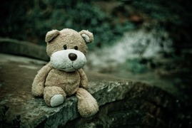 teddy-bear-g4e30d0840_640.jpg
