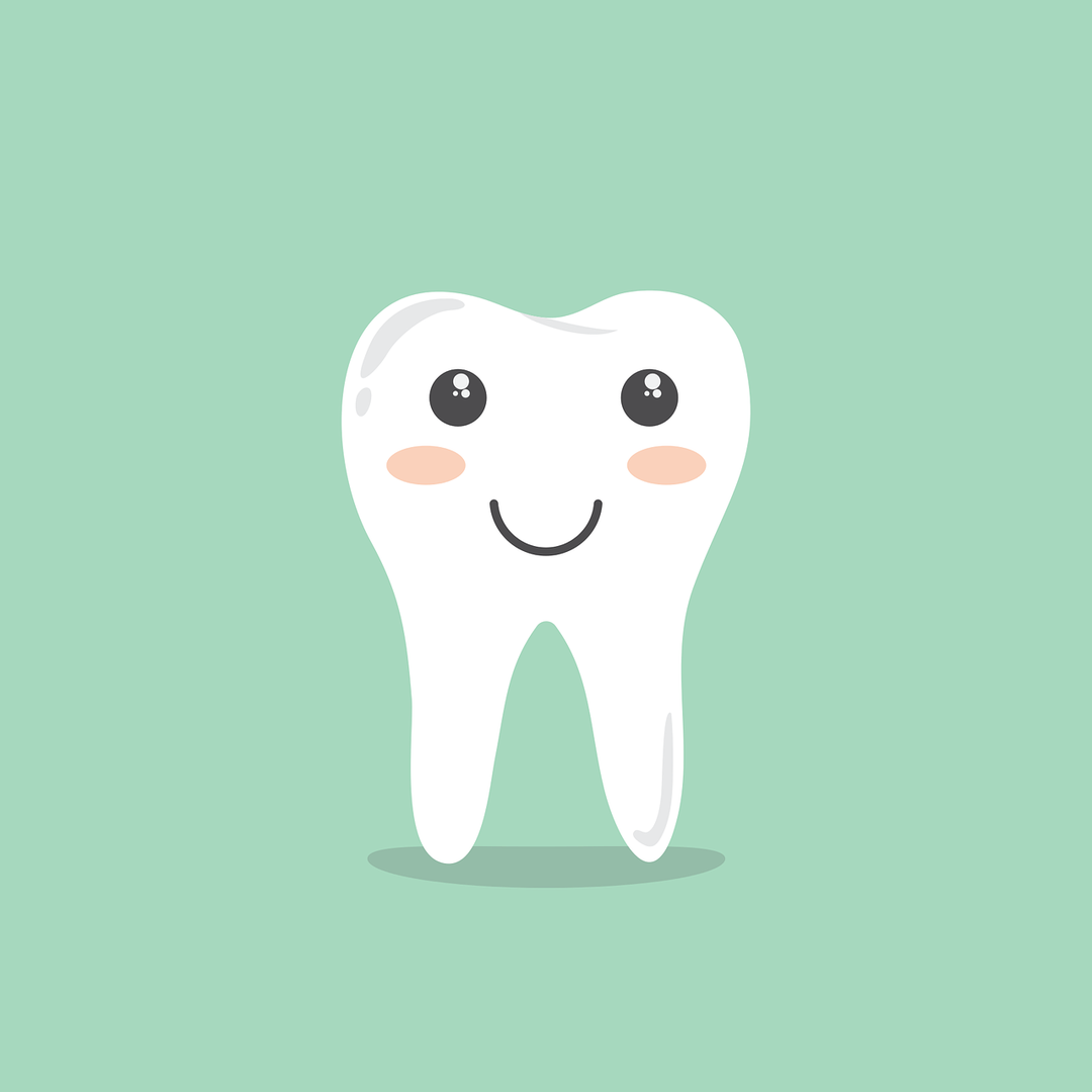 tooth-g274c90471_1280.png