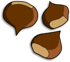 chestnuts-151927_1280.png