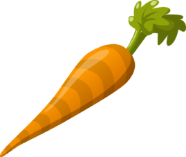 carrot-575529_1280.png